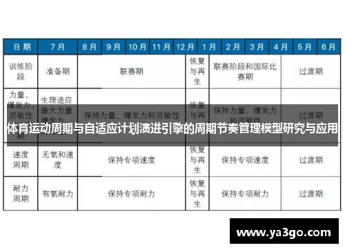 体育运动周期与自适应计划演进引擎的周期节奏管理模型研究与应用
