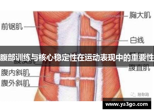 腹部训练与核心稳定性在运动表现中的重要性