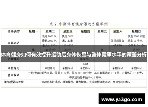 体育健身如何有效提升运动后身体恢复与整体健康水平的策略分析