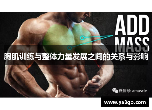 胸肌训练与整体力量发展之间的关系与影响